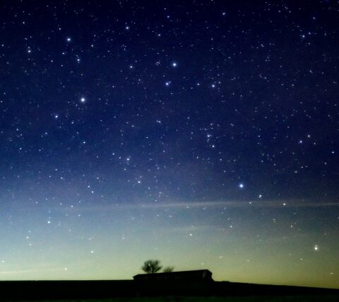 vol.129「キロン、カイロン、ケイローン」モナ・カサンドラ